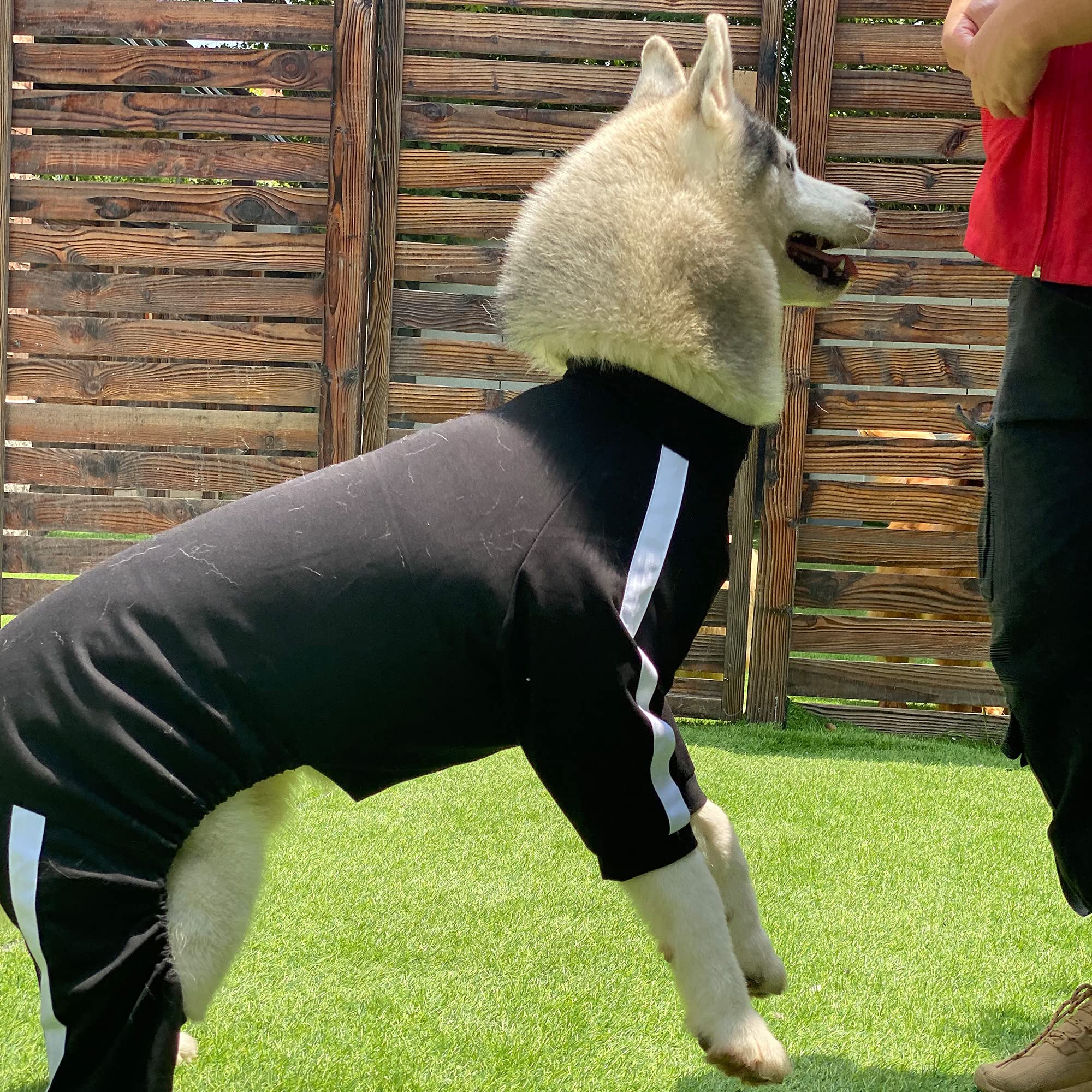 Dog Sweatshirt with Zipper - 4-Legs Covered Sport Suit for Small, Medium & Large Dogs | Comfortable & Breathable Dog Sweater in Black (Size XL) | Perfect for Outdoor Activities, Running & Cold Weather Protection
