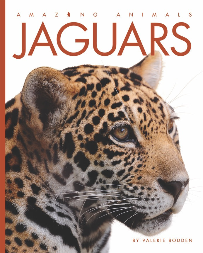 Amazing Animals (2014): Jaguars - Wildlife Documentary Film | Learn About Big Cats, Rainforest Predators & Conservation | Perfect for Nature Lovers, Students & Classroom Education