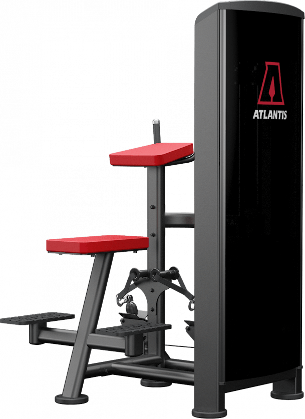 ATLANTIS Vertical Row Machine for Home Gym - Strength Training Equipment for Back & Shoulder Workouts | Perfect for Small Spaces & Full-Body Exercise