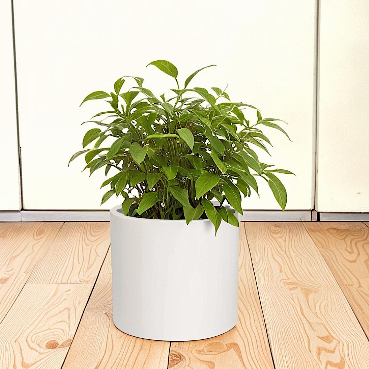 Premium 8 Inch Fiberstone Planter with Drainage - Lightweight Matte White Indoor/Outdoor Plant Pot - Weather & UV Resistant - Perfect for Home Decor, Patio, Garden, and Office Plants