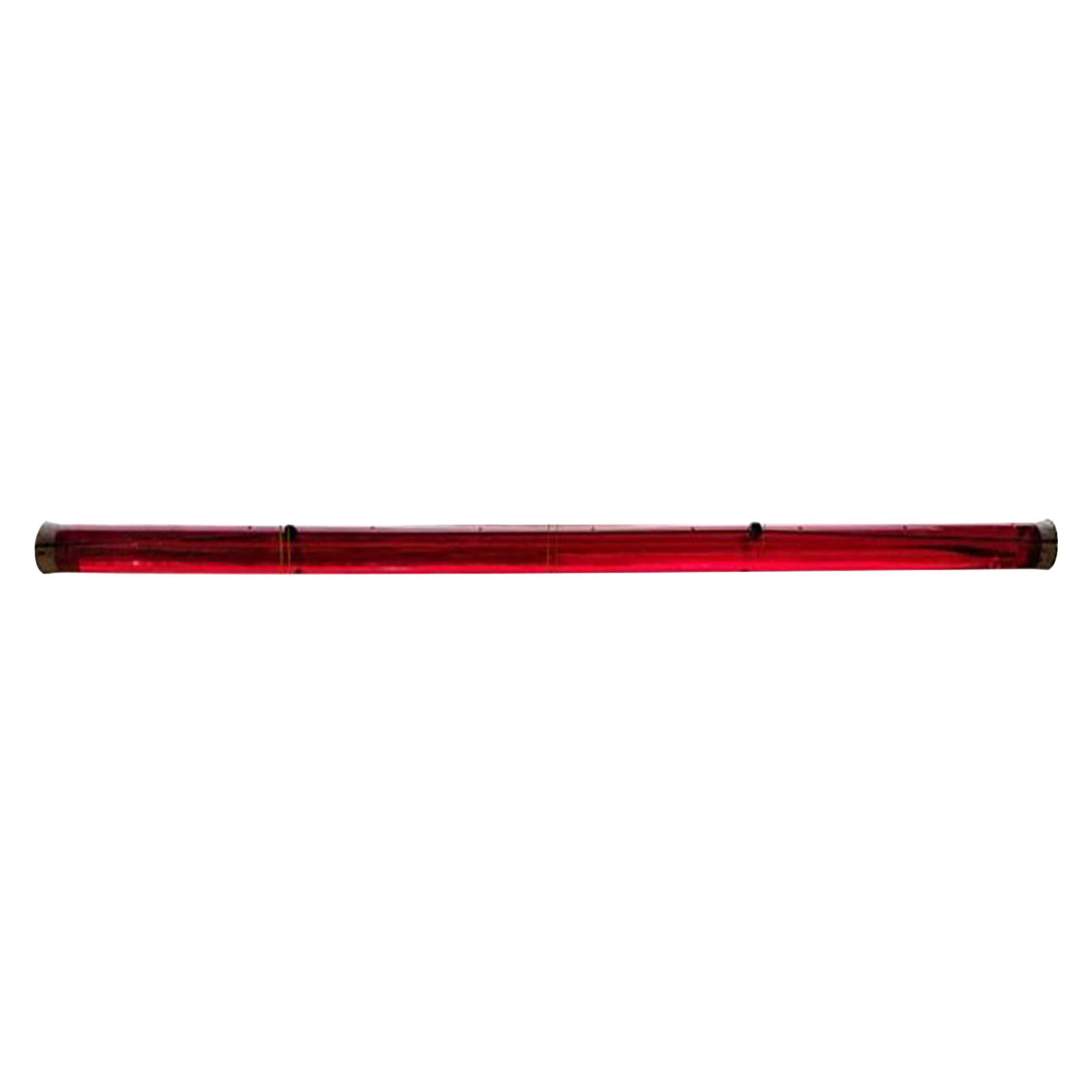 Premium Hummingbird Feeder for Outdoors - Bright Red Transparent Nectar Tube, Easy to Clean & Refill - Perfect for Garden, Patio, Yard Decor & Attracting Hummingbirds - Ideal for Bird Watching & Nature Lovers