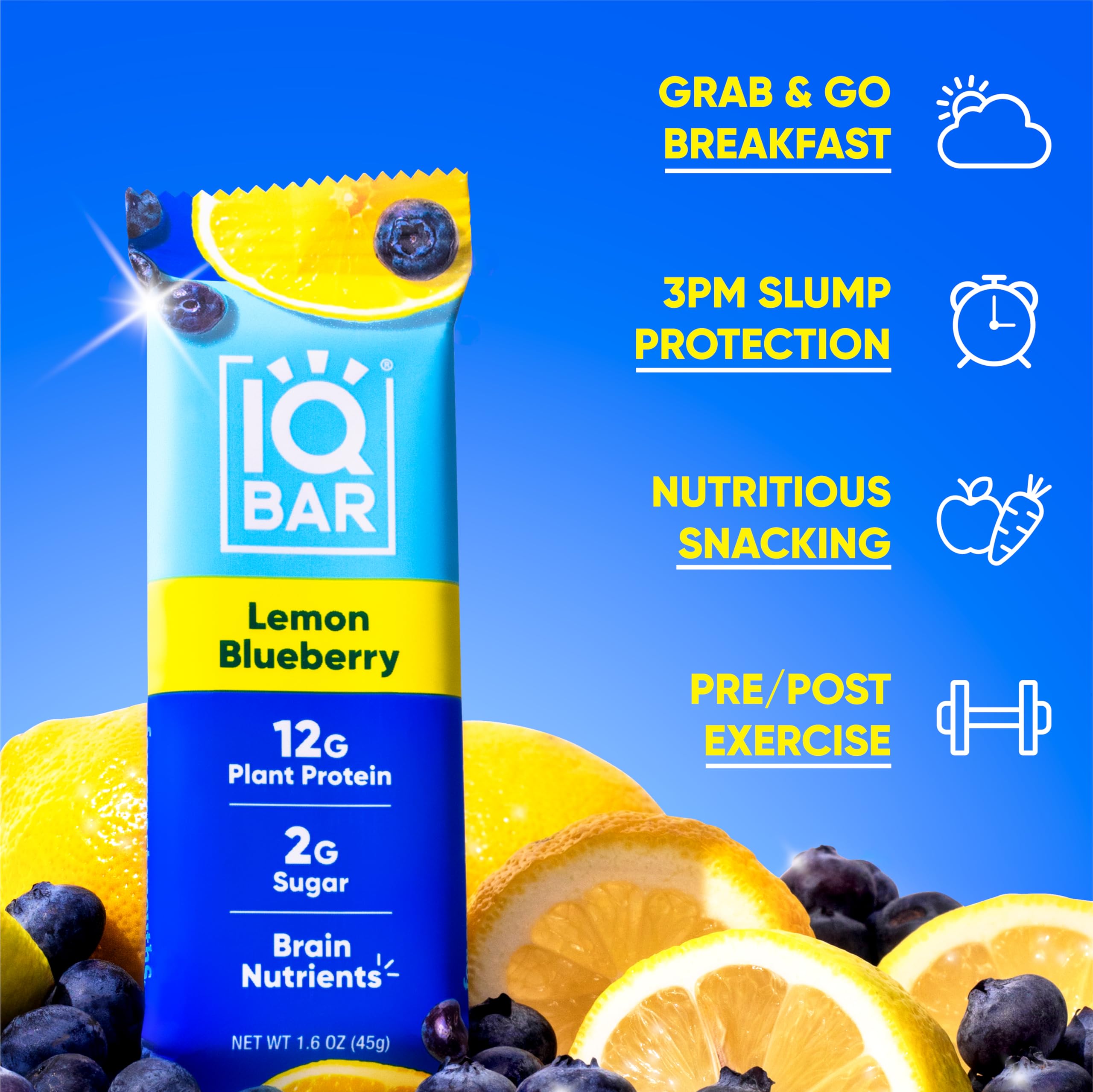 IQBAR Brain and Body Plant Protein Bars - Lemon Blueberry (36 Count) | Low Carb, Gluten Free, High Fiber Vegan Snacks | Keto Friendly Meal Replacement for Workout Recovery, Office Snacking & On-the-Go Nutrition