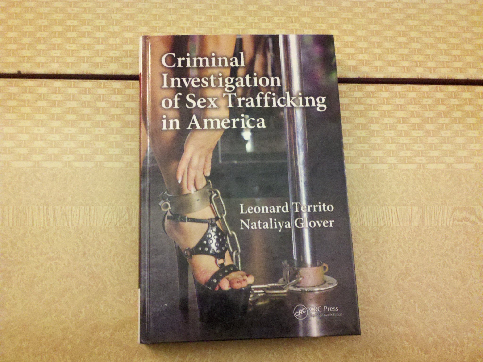 Sex Trafficking Criminal Investigation in the US | Human Trafficking Cases & Law Enforcement | For Researchers, Journalists & Policy Makers
