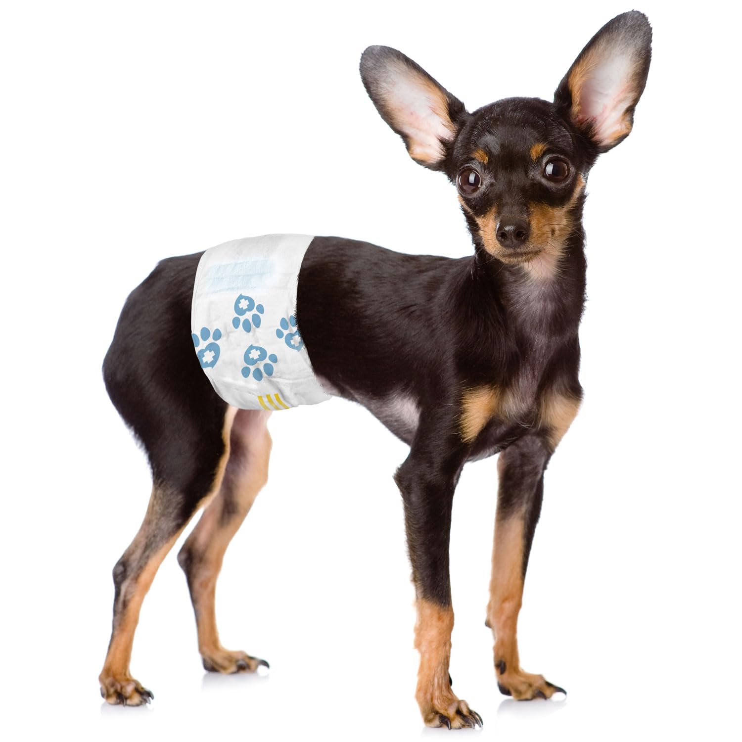 Disposable Dog Diapers for Male Dogs - Extra Small (1-Tab) 288 Count Bulk Pack with Activated Charcoal | Leak Proof, Wetness Indicator & Snag-Free Fastener | Ideal for Incontinence, Training & Travel
