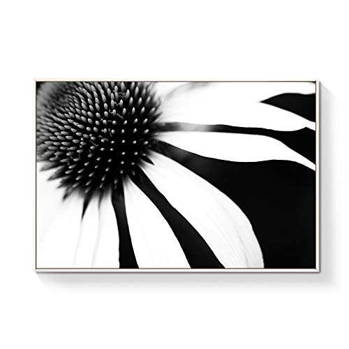 Black02-h05