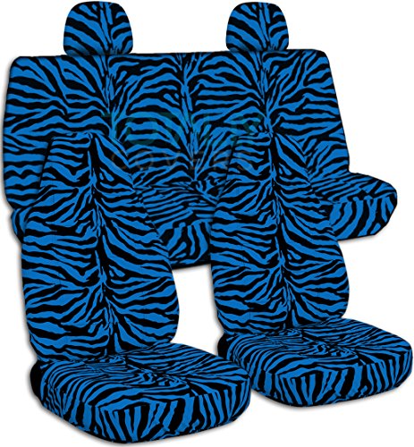 Blue Zebra