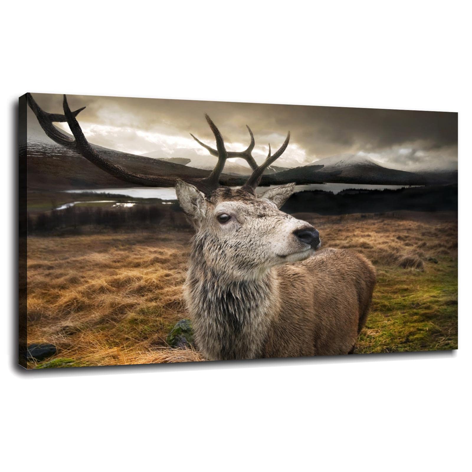 Premium Canvas Wall Art - Deer Animal Print Poster with Frame 20