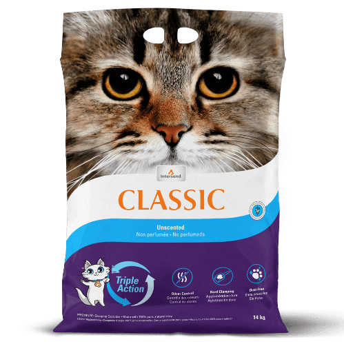 Premium Intersand Classic Clumping Cat Litter - Dust-Free, Natural & Odor Control | Ideal for Multi-Cat Homes & Small Spaces