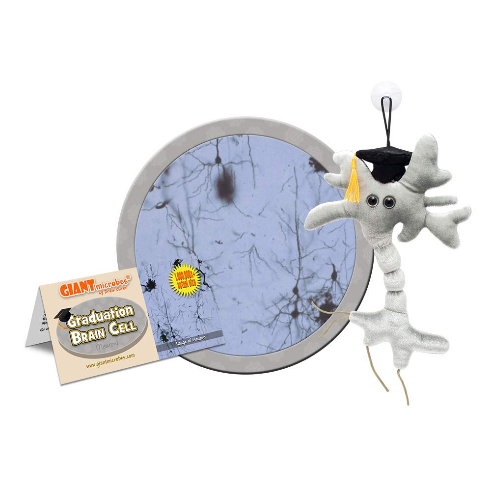 GIANTmicrobes Graduation Brain Cell Plush - Fun Educational Gift with Cap & Tassel for Students | Perfect Graduation Party Favors, Science Teacher Appreciation & Achievement Celebration Gifts