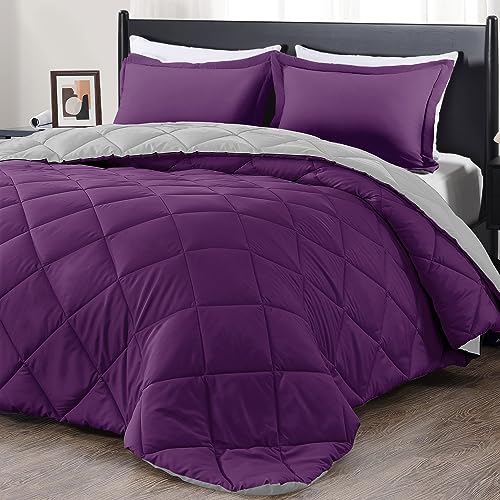 Purple/Grey