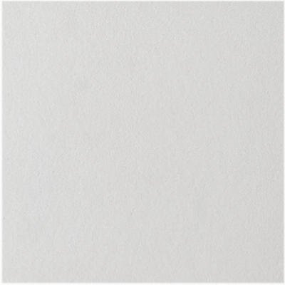 USG 824290 1x1' Ceiling Tile - Premium Acoustic Ceiling Panels for Office, Home & Commercial Spaces