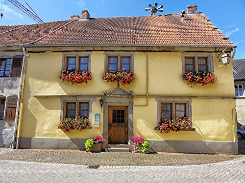 20x30 Inch Laminated Poster - Charming French Village Scene of Sarrewerden Street with Vibrant Colors | Perfect for Home Decor, Office Wall Art & Gift Giving