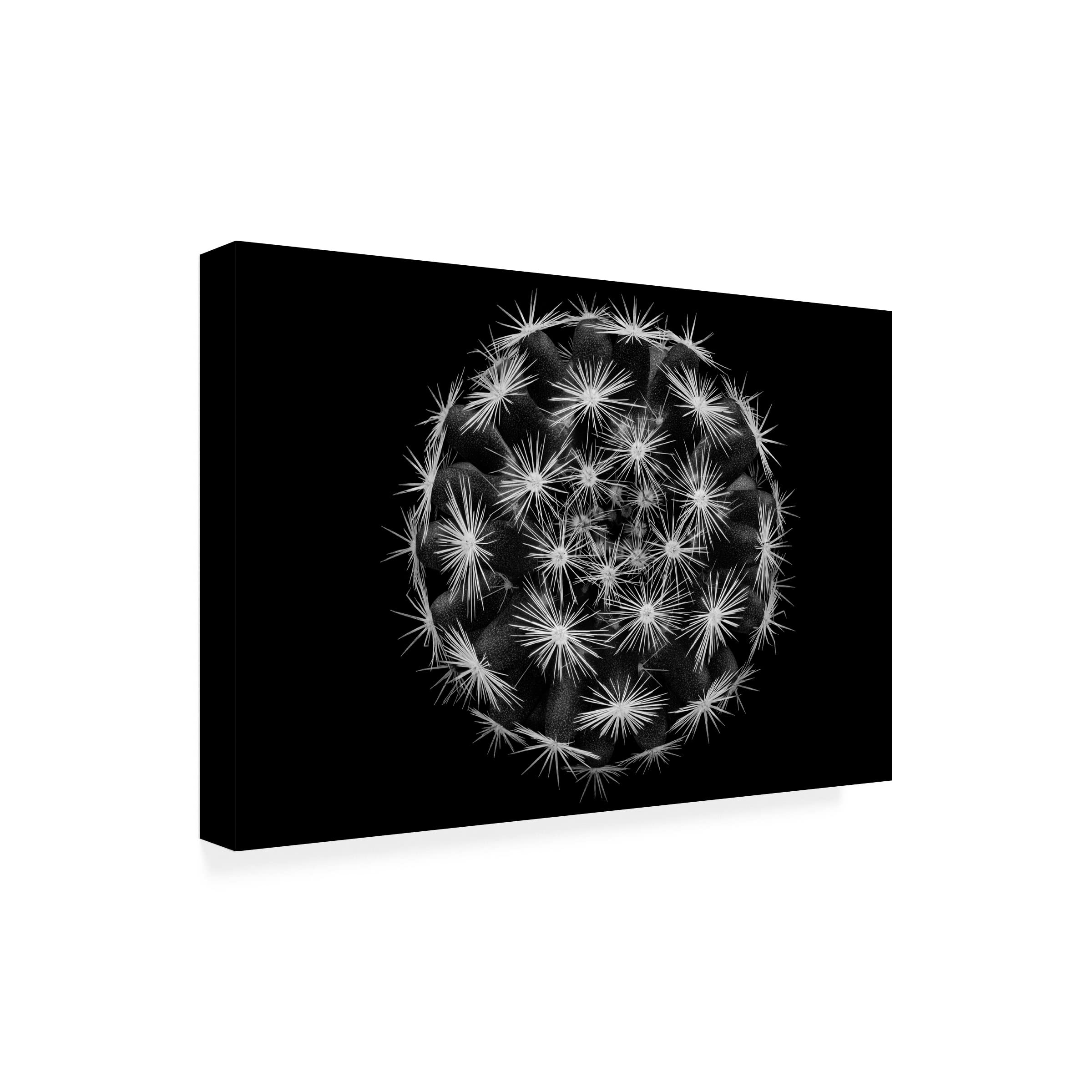 Trademark Fine Art 'Mammillaria' Canvas Wall Art by Victor Mozqueda - Beautiful Cactus Painting for Living Room, Bedroom & Office Decor