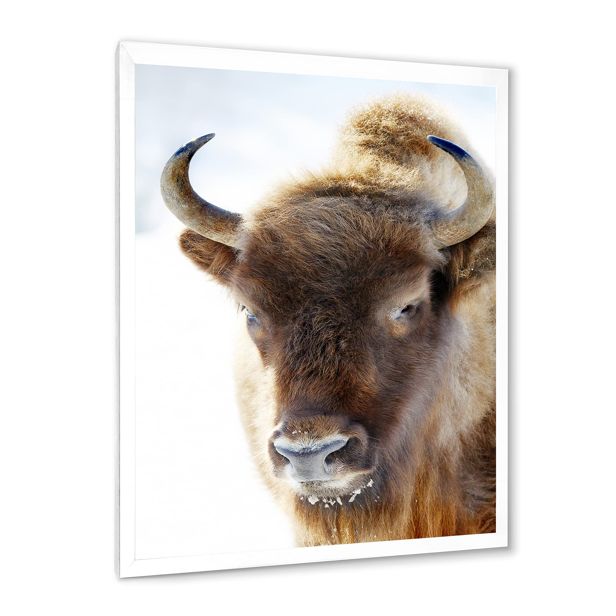 DesignQ Wild Bison Framed Wall Art - Rustic Farmhouse Decor for Living Room, Bedroom & Office