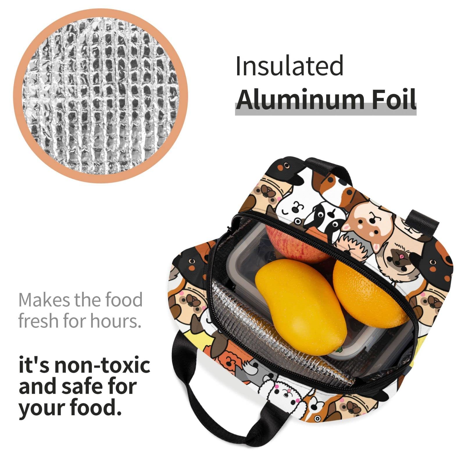 Insulated Reusable Lunch Box for Dogs - Leak Proof & Eco-Friendly Lunch Bag for Kids, Teens, Women - Perfect for School, Travel, Picnic & Beach Outings