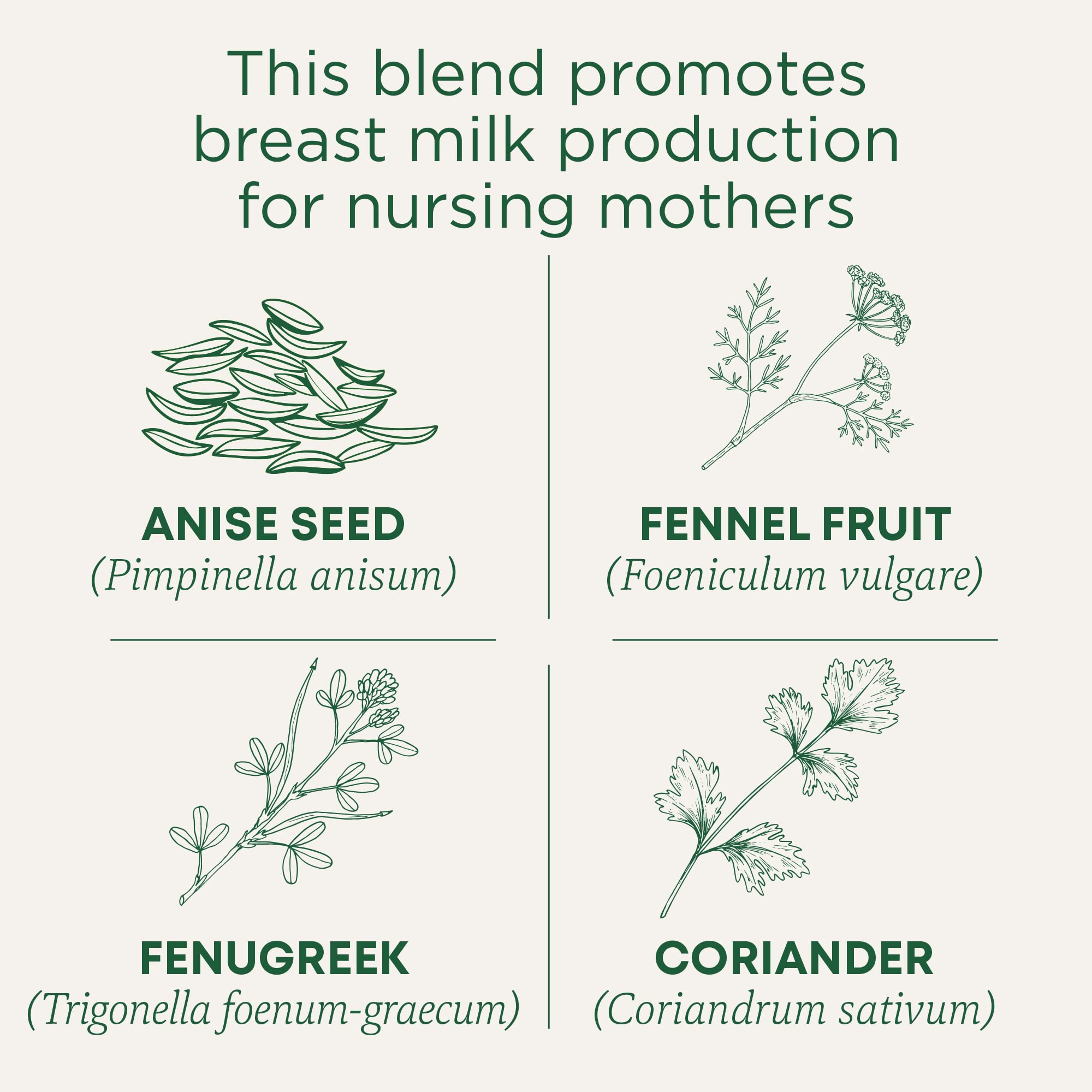 Organic Mother's Milk Tea by Traditional Medicinals - Lactation Support for Breastfeeding Moms with Spearmint - 16 Herbal Tea Bags - Perfect for Postpartum Wellness & Nursing Comfort