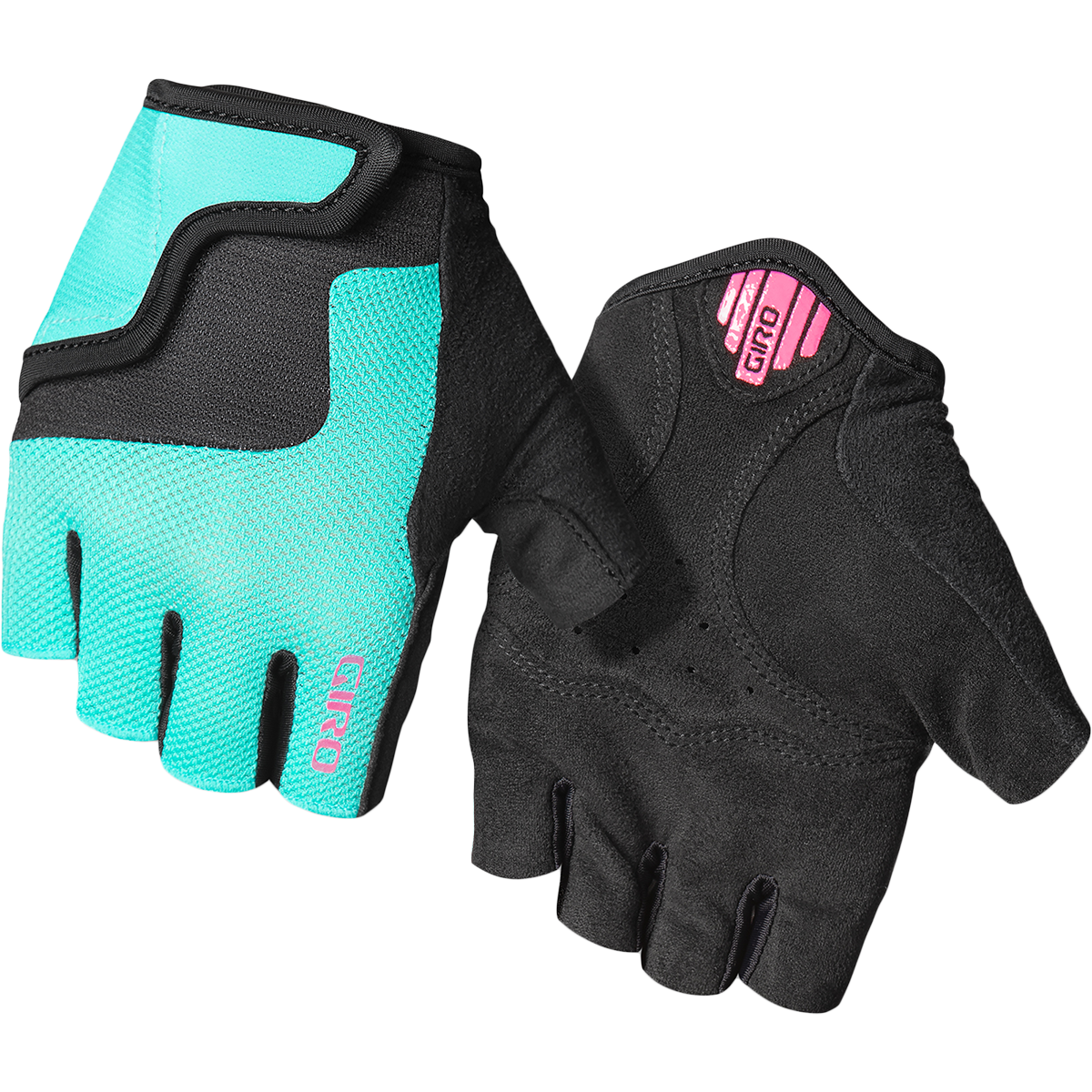 Screaming Teal Neon Pink