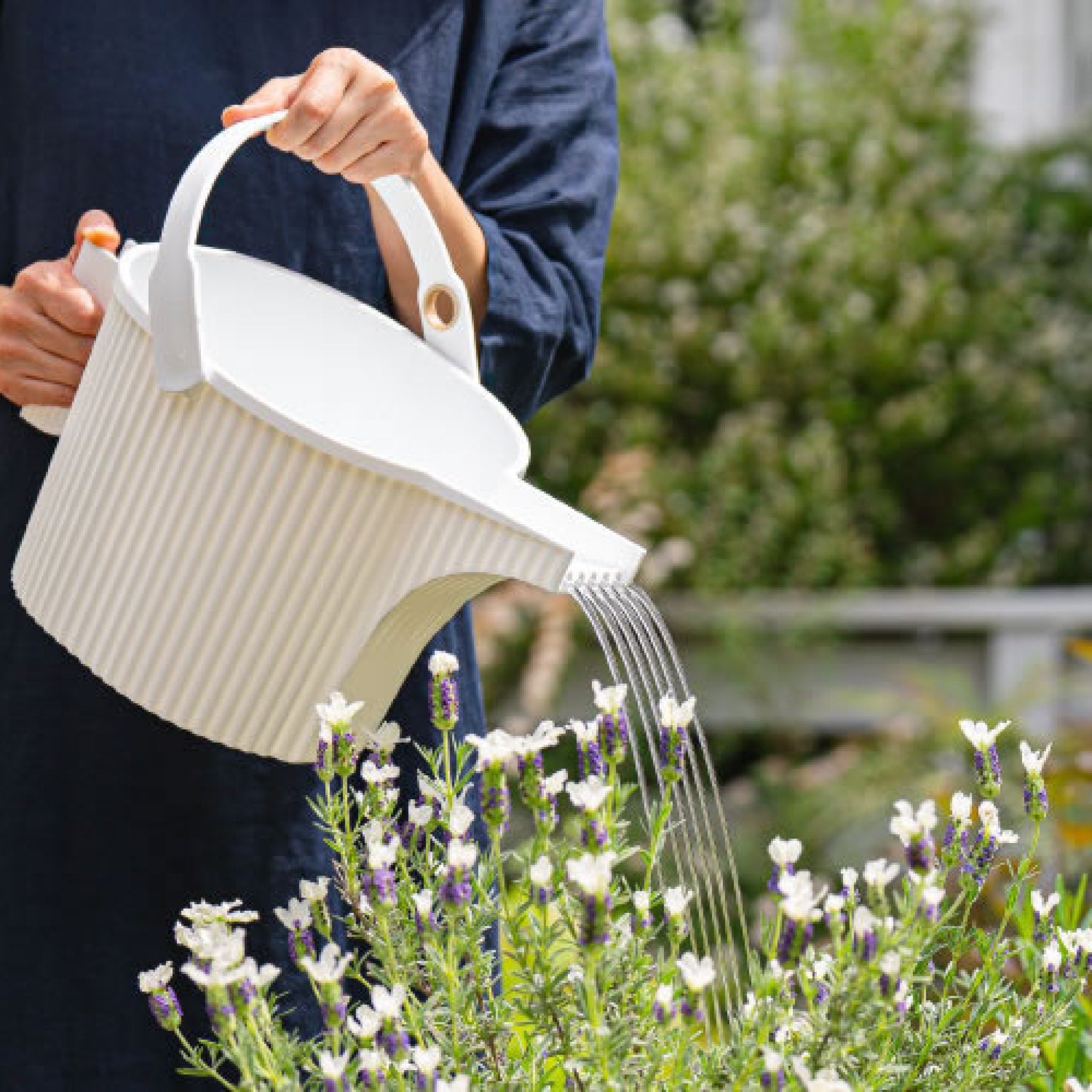 HACHIMAN KASEI 5L Large White Garden Beetle Watering Can - Perfect for Indoor Plants, Outdoor Flowers & Gardening Enthusiasts