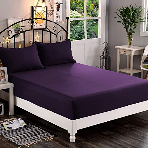 Eggplant Purple