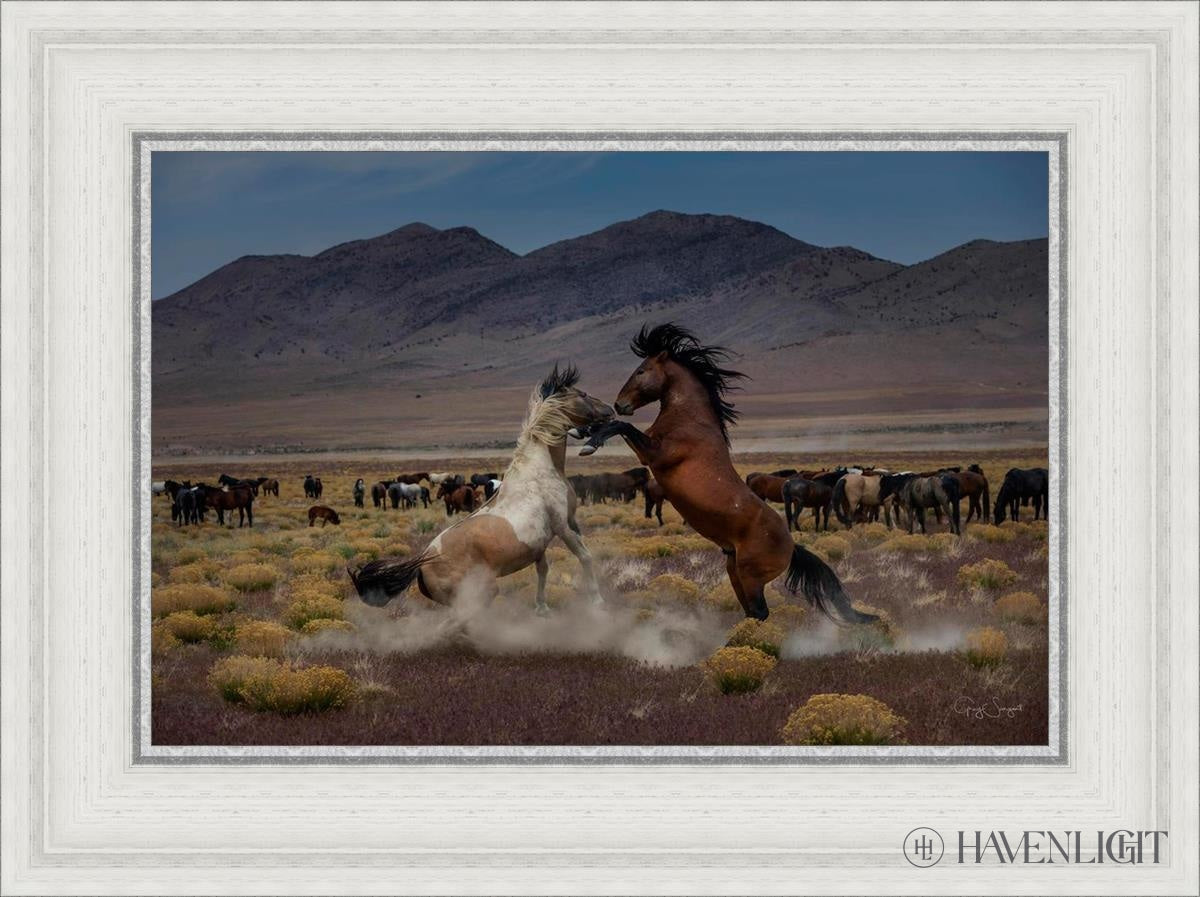Desert Duel 5 by Greg Sargent - Western Action Novel - Perfect for Book Clubs & Cowboy Adventure Fans