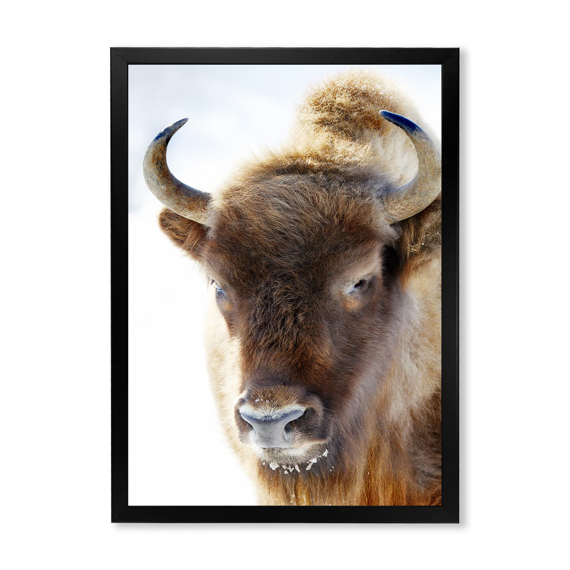 Farmhouse Framed Wall Art - Portrait of Wild Bison - Rustic Home Decor for Living Room, Bedroom & Office - DesignQ Premium Canvas Print