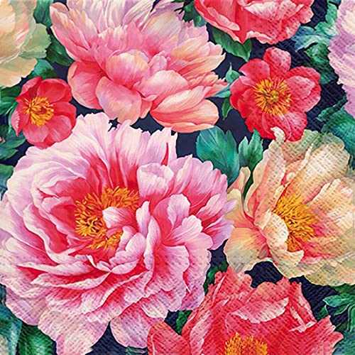Peonies Bloom