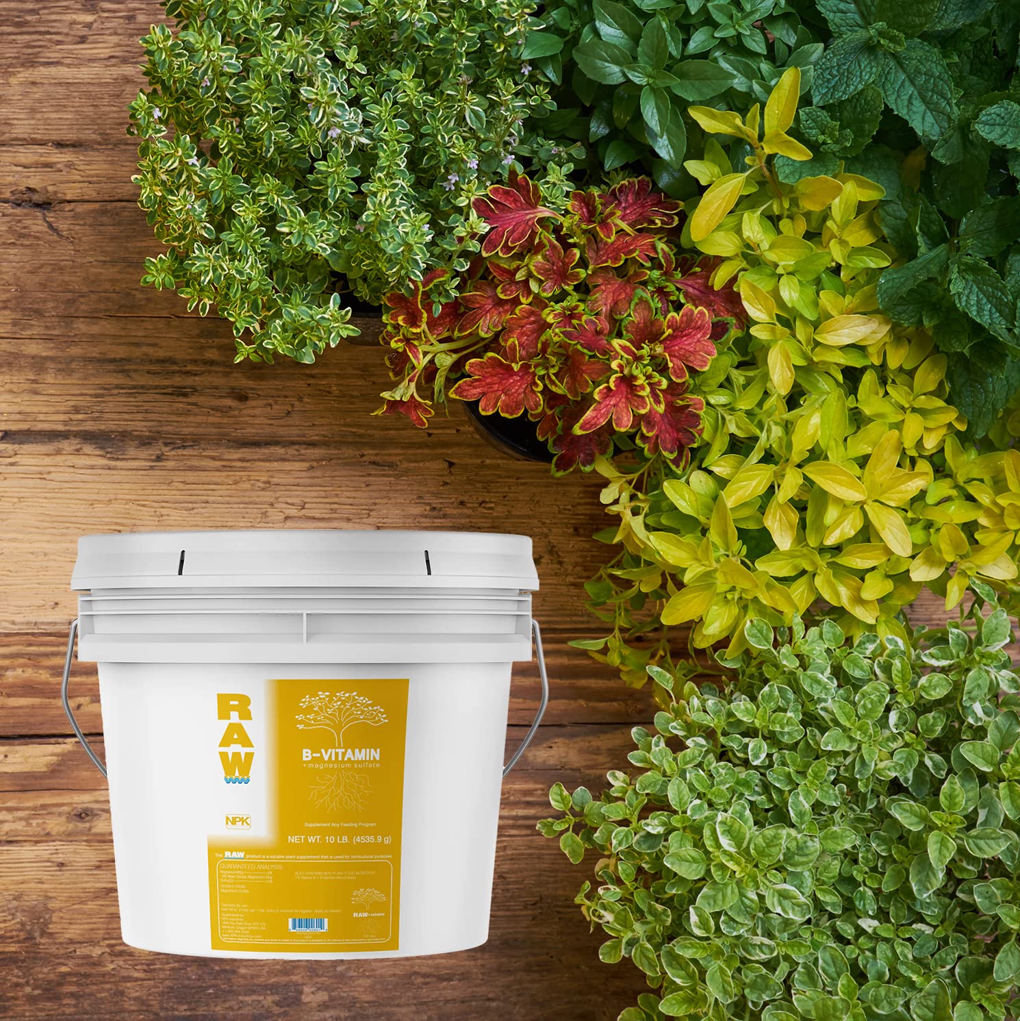 RAW B Vitamin 10lb - Premium Plant Growth Booster with B Complex & Magnesium Sulfate | Promotes Healthy Development, Higher Yields & Better Nutrient Uptake | Ideal for Hydroponics, Soil Gardens & Organic Farming