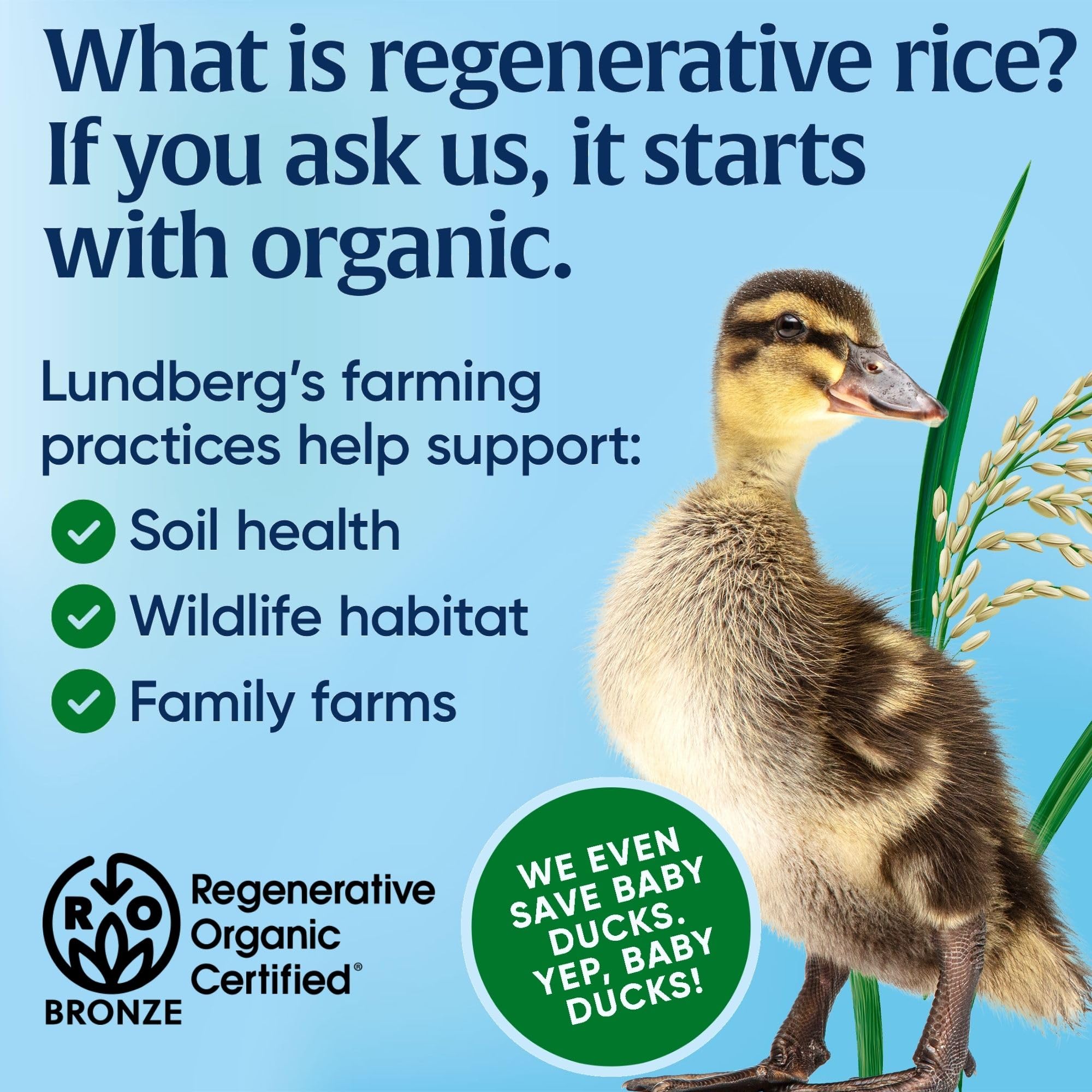 Lundberg Organic Short Grain Brown Rice - Regenerative Organic Certified, High Fiber, Gluten Free, Resealable 32oz Bag | Perfect for Healthy Meals, Vegan Recipes & Meal Prep
