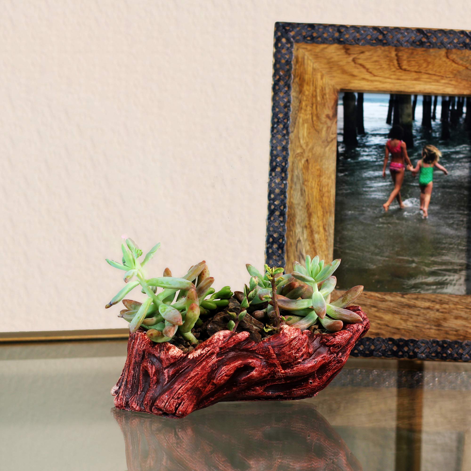Ceramic Wood Planter Pot for Indoor Plants - Unique Log Design Succulent & Flower Pot (Redwood Ridge) - Perfect for Home Decor, Office Desk, and Gift Ideas