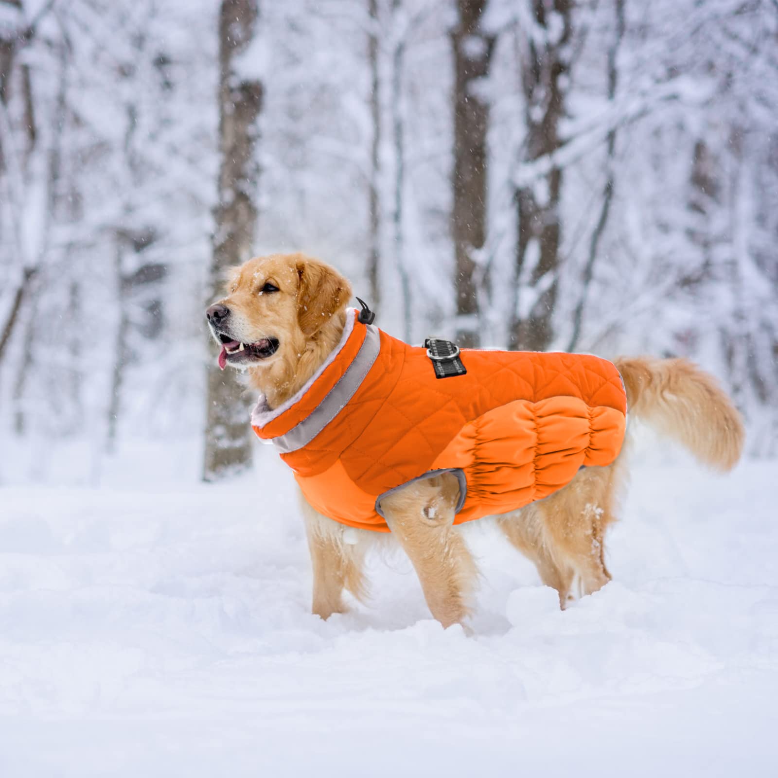 Lelepet Warm Winter Dog Coat - Windproof Reflective Fleece Jacket with Harness for Small Medium Large Dogs | Cold Weather Protection for Outdoor Walks & Winter Adventures