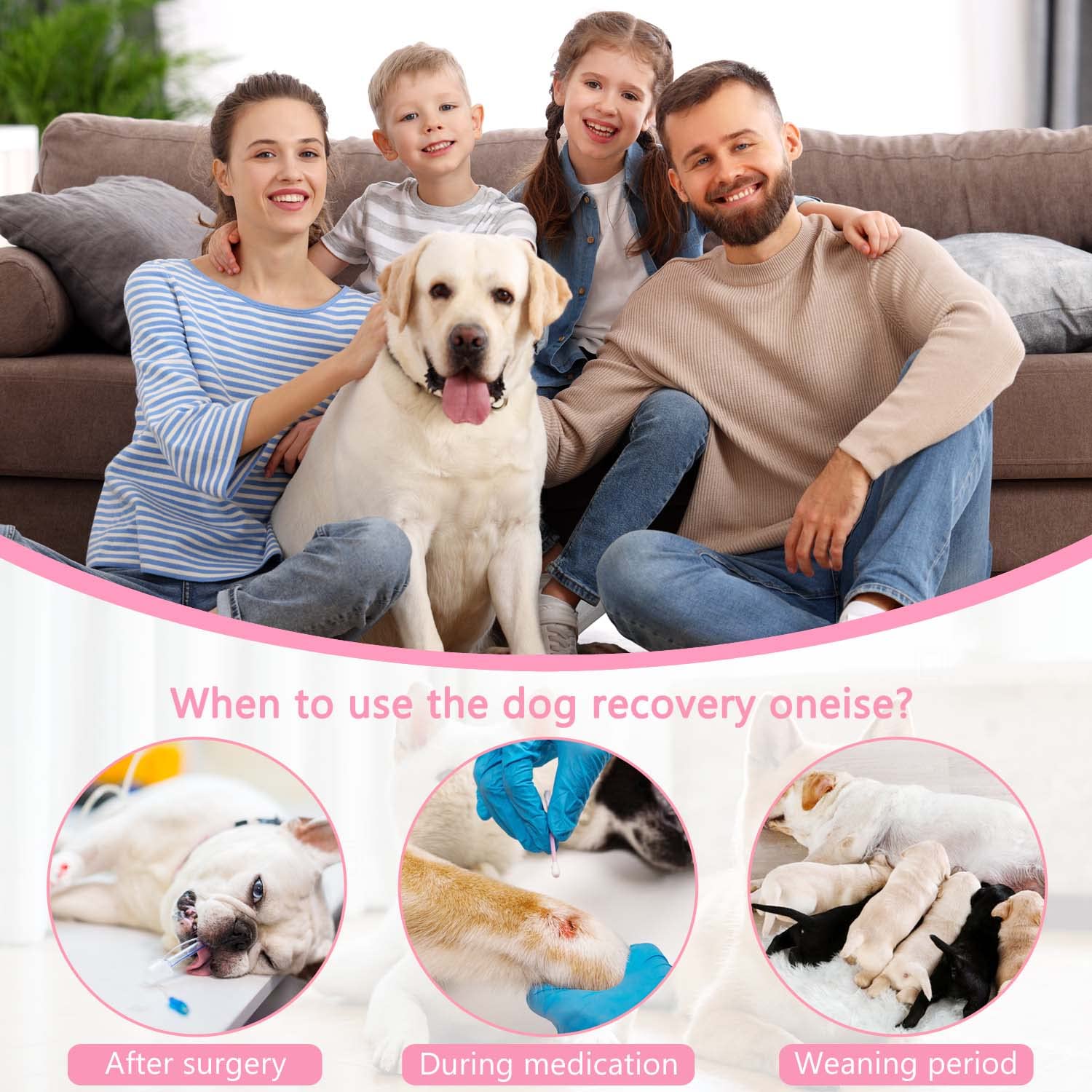 Etdane Dog Recovery Suit for Surgery - Post-Spay/Neuter Onesie with Pee Hole for Small & Medium Dogs (Love/Flower/Large) - Perfect for Post-Op Care & Wound Protection