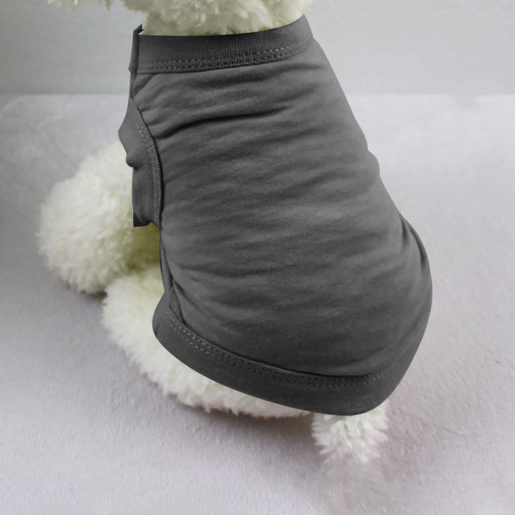 Stylish Pet Clothes - Cute Printed Dog T-Shirts & Hoodies for Small Puppies and Cats | Halloween Costume, Fashion Sweatshirts & Vests for Dogs | Perfect for Daily Walks, Parties, and Photo Shoots