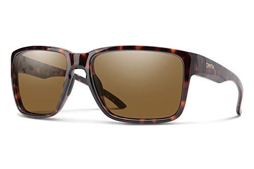Tortoise / Polarized Brown