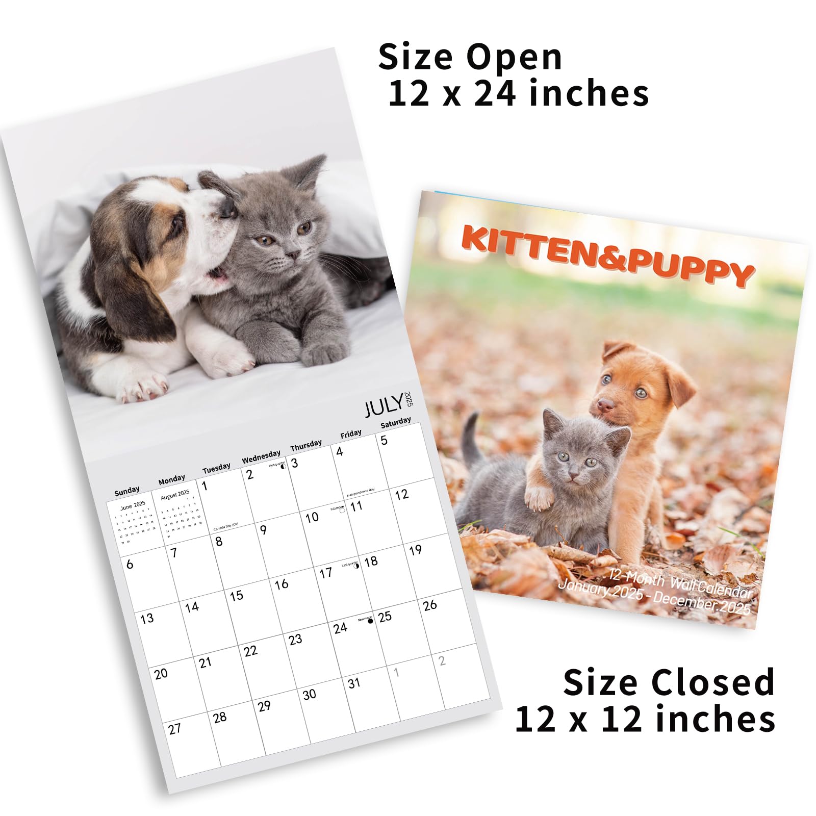 **2025 Wall Calendar with Cute Kittens & Puppies - 12
