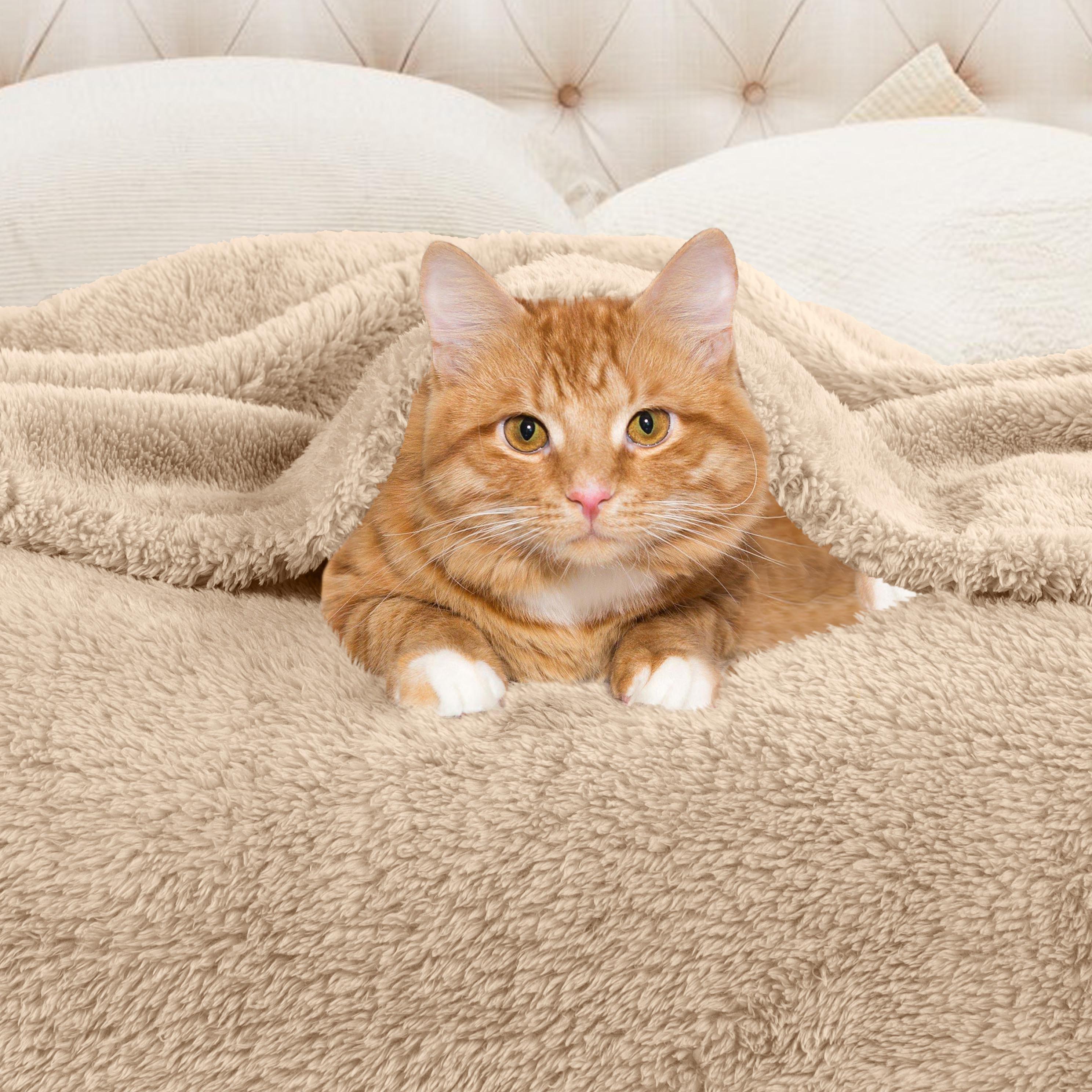 Classic Solid Fleece Plush Medium Weight Fluffy Soft Blanket - Cozy & Warm for Bed, Sofa, Travel & Gifts | Ultra-Soft Throw Blanket for All Seasons