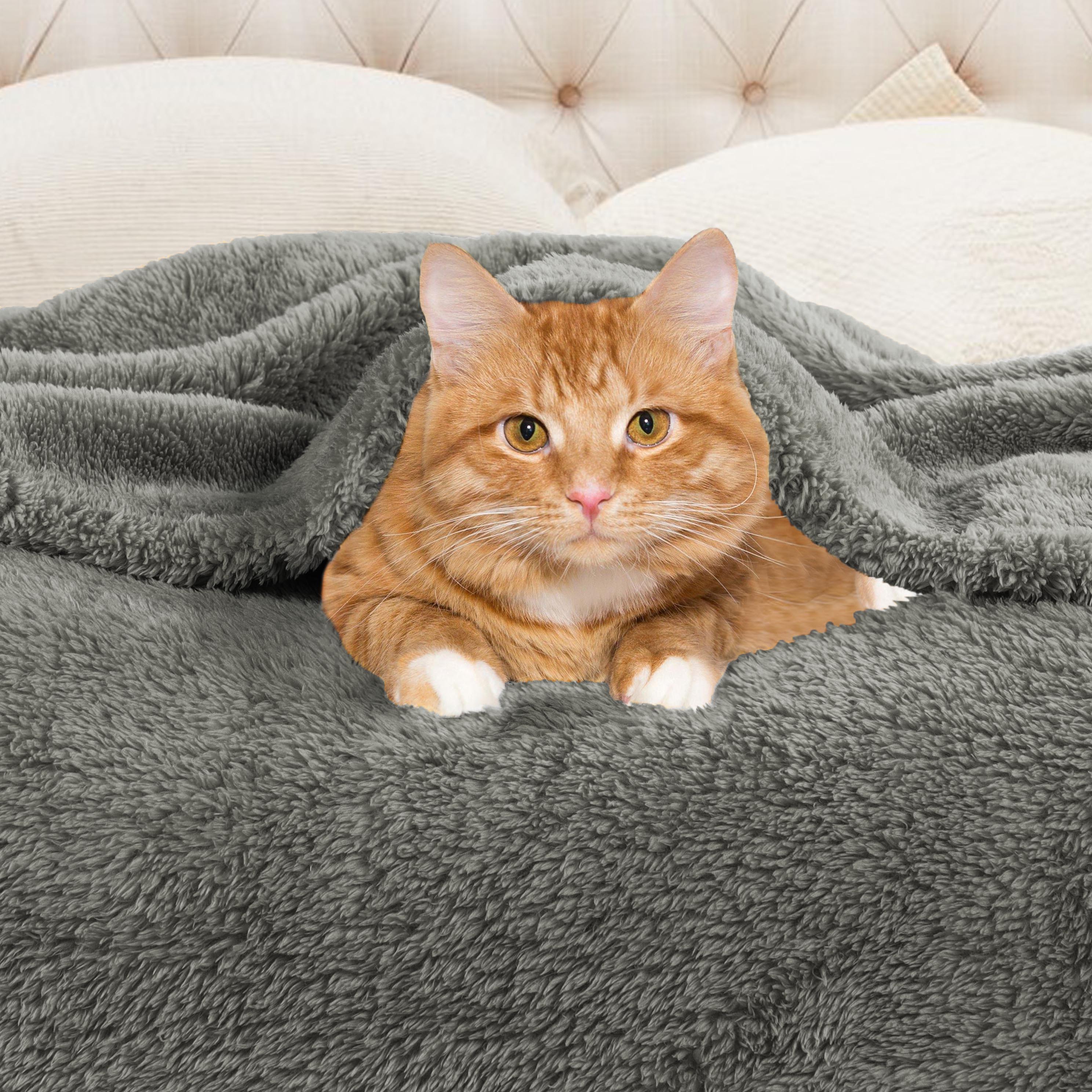 Classic Solid Fleece Plush Medium Weight Fluffy Soft Blanket - Cozy & Warm for Bed, Sofa, Travel & Gifts | Ultra-Soft Throw Blanket for All Seasons
