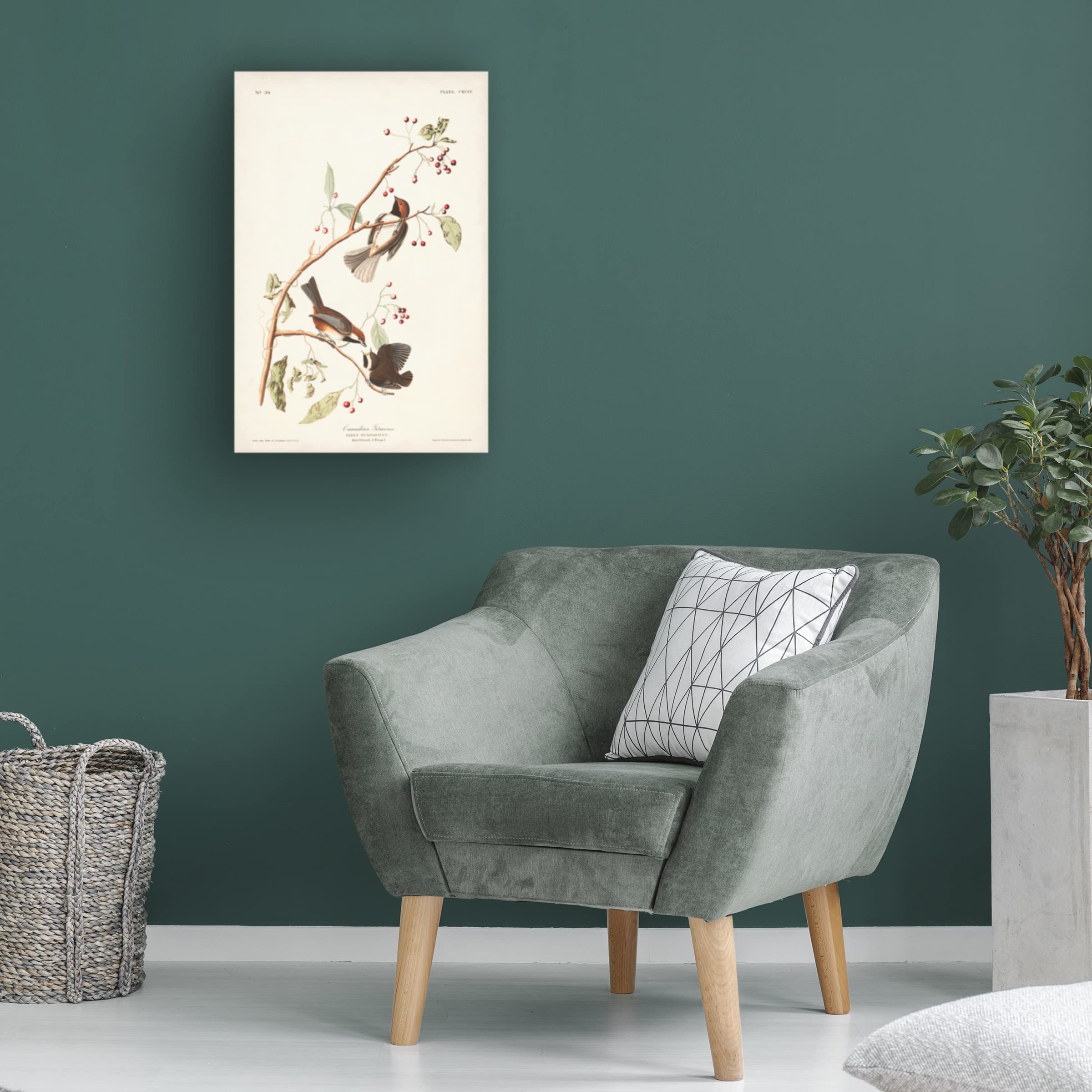 John James Audubon Canadian Titmouse Fine Art Canvas Print - 30x47 Inches - Wildlife Bird Wall Decor for Living Room, Bedroom & Office