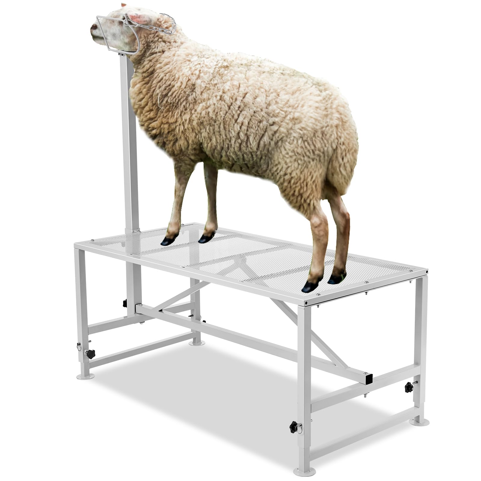 Happybuy Premium Adjustable Goat & Sheep Stand - 51x23 Large Size Horned Livestock Stand for Milking, Shearing & Grooming | Durable Headpiece & Height Adjustment | Perfect for Farm, Ranch & Veterinary Use