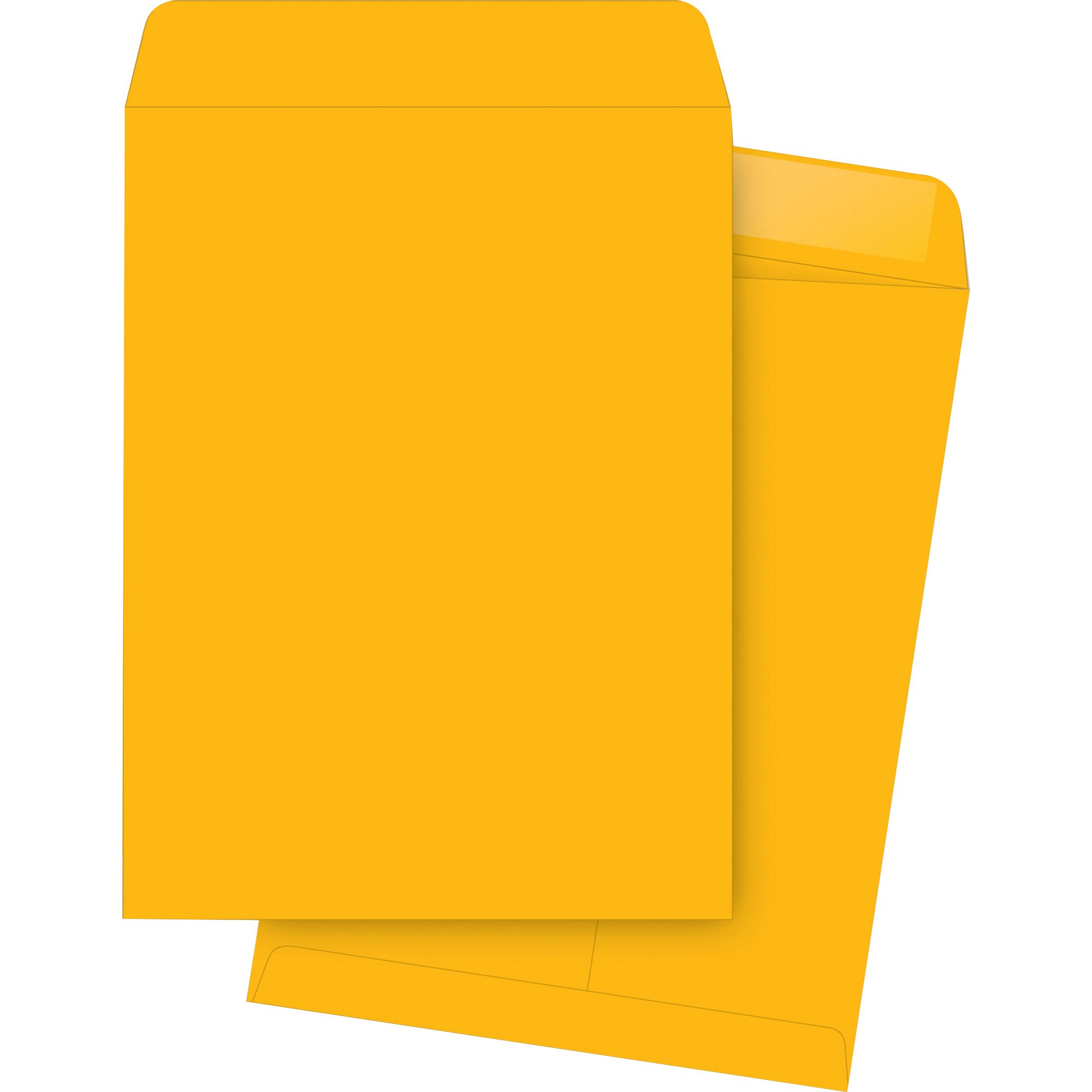 Business Source 42099 Kraft Catalog Envelopes, 6x9 Inches, 20 lb Weight, Pack of 500 - Perfect for Mailing, Office Documents & Business Correspondence
