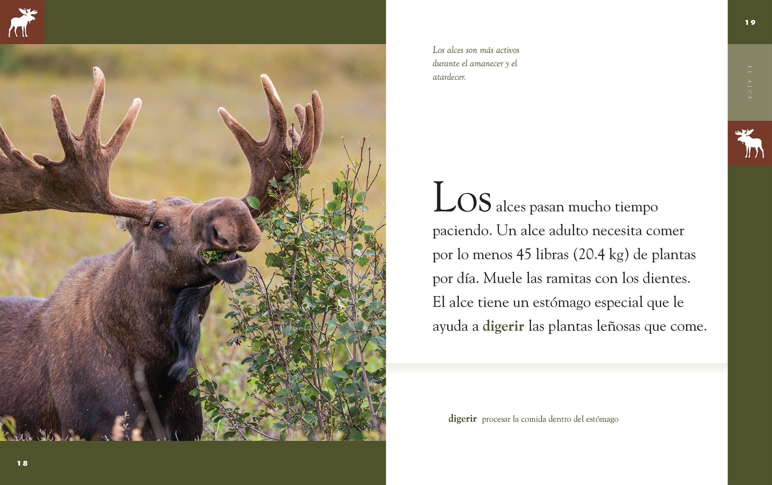 El Alce Book 9781640264694 - Wildlife & Nature Reading for Kids, Perfect for Homeschooling & Classroom Learning