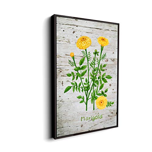 Plant-06