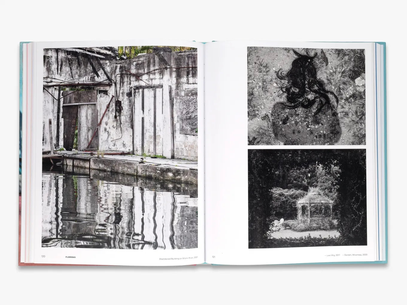 Anastasia Samoylova: Adaptation - Fine Art Photography Book | Contemporary Environmental Portraits | Perfect for Art Collectors & Photography Enthusiasts | Home Decor & Gallery Display