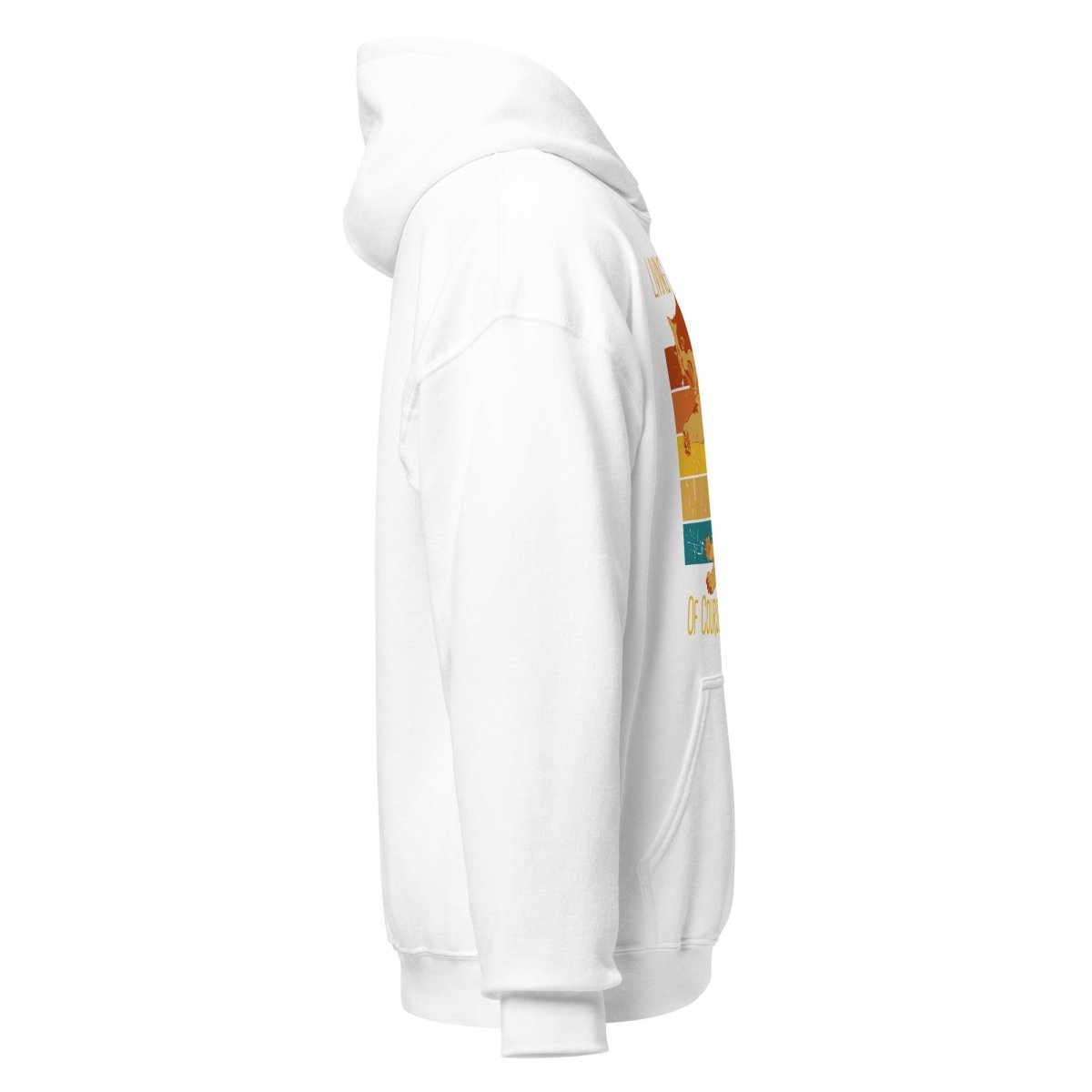 Funny Sarcastic Recovery Cat Hoodie - Sober Life Apparel for Men & Women - Perfect for AA Meetings, Addiction Recovery & Sober Living Support