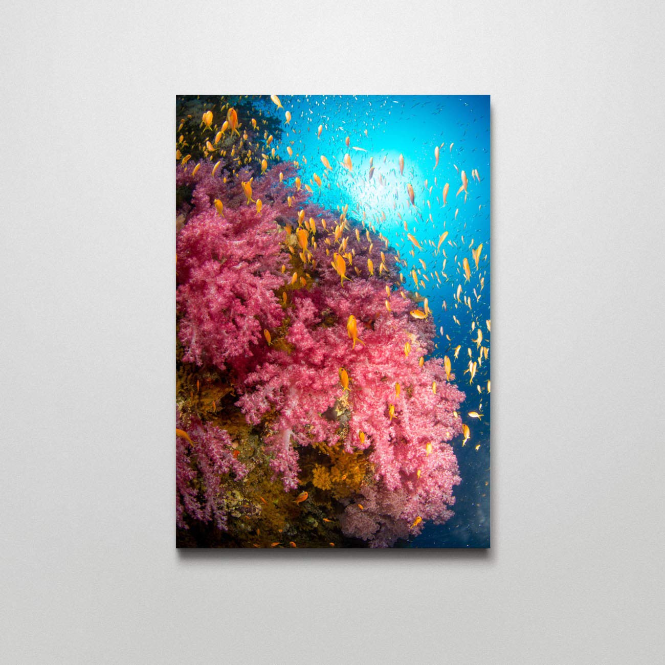 Pink Coral Reef Canvas Wall Art Print - 12x16 Inch Coastal Beach Decor for Bedroom, Living Room, Bathroom | Perfect for Home, Office & Vacation House Decor