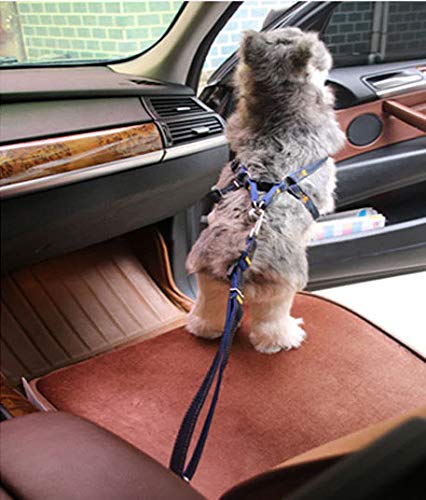 Adjustable Dog Seat Belt for Car Safety - Durable Nylon & Denim Pet Harness with Vehicle Lash Leads - Secure Travel for Small & Medium Dogs (Black) - Perfect for Road Trips & Daily Commutes