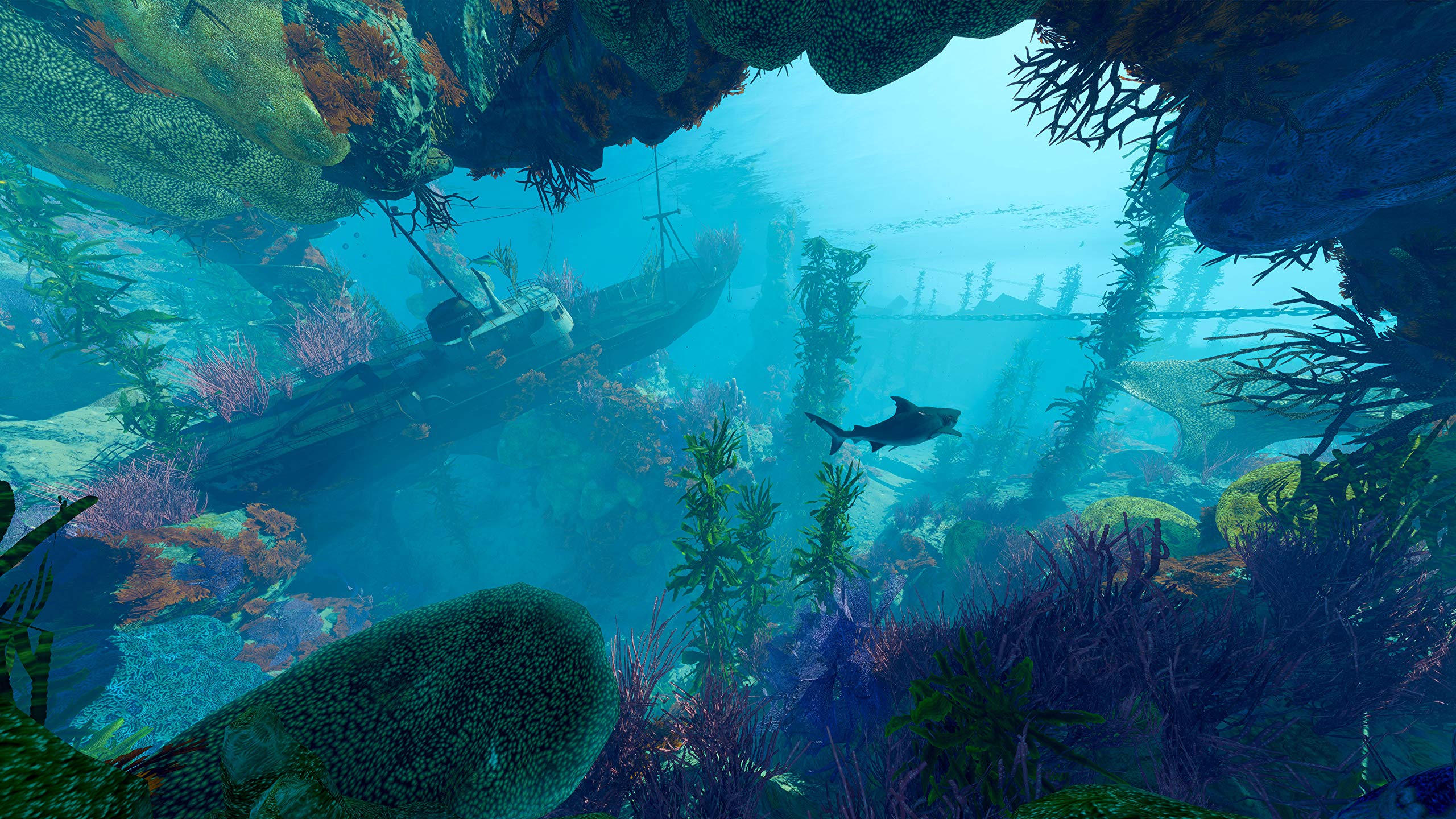 Maneater - PS4 Game for PlayStation 4 | Action RPG Underwater Adventure | Perfect for Shark Lovers & Open-World Gamers | Great for Single-Player Story Mode & Casual Gaming Sessions