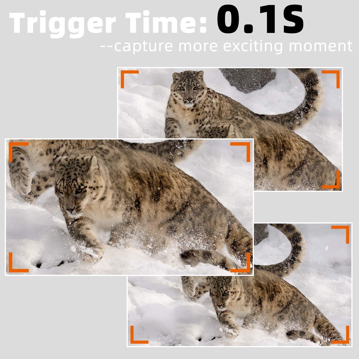 BLAZEVIDEO 4-Pack 32MP 1296P No Glow Trail Camera with Night Vision, 2.4