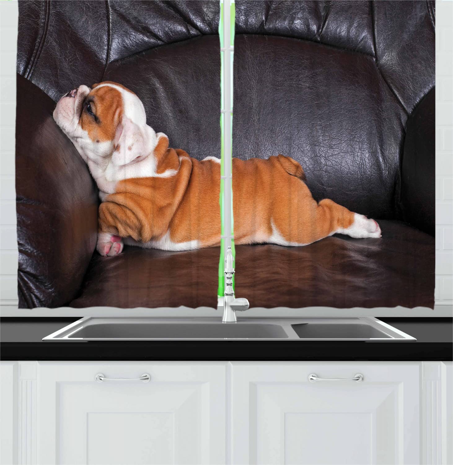Ambesonne English Bulldog Long Kitchen Curtains - Funny Puppy Resting on Sofa Animal Photography Canine Drapes - 2 Panel Rod Pocket Window Treatment, 55