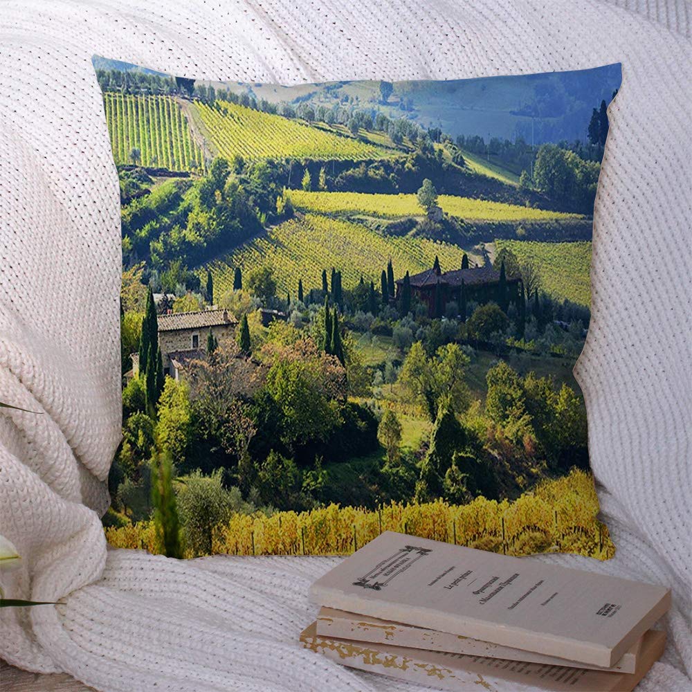 Farmhouse Vineyard Landscape Pillow Cover - 20x20 Inch Decorative Polyester Throw Pillow Case for Couch, Sofa & Bed - Tuscany Italy Winemaking Scenery - Perfect for Living Room, Bedroom & Home Decor