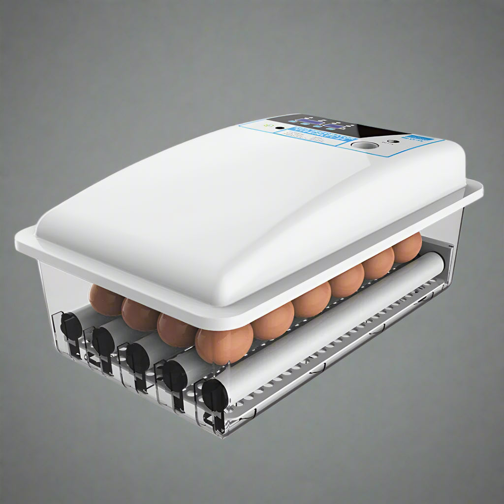 12V & 110V Automatic Egg Incubator - Digital Poultry Hatcher with Dual Power for Chicken, Duck & Bird Eggs | Perfect for Home Farming & Hobbyists | SKU: 627108